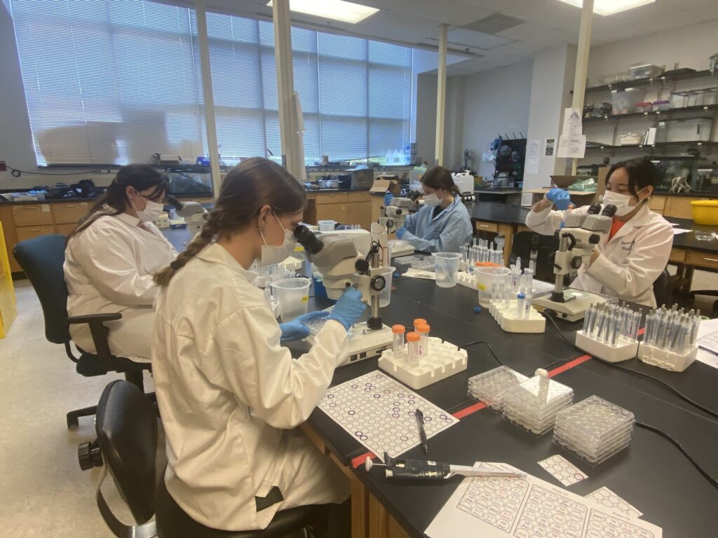 Students wearing white coats conducting experiments in a lab.