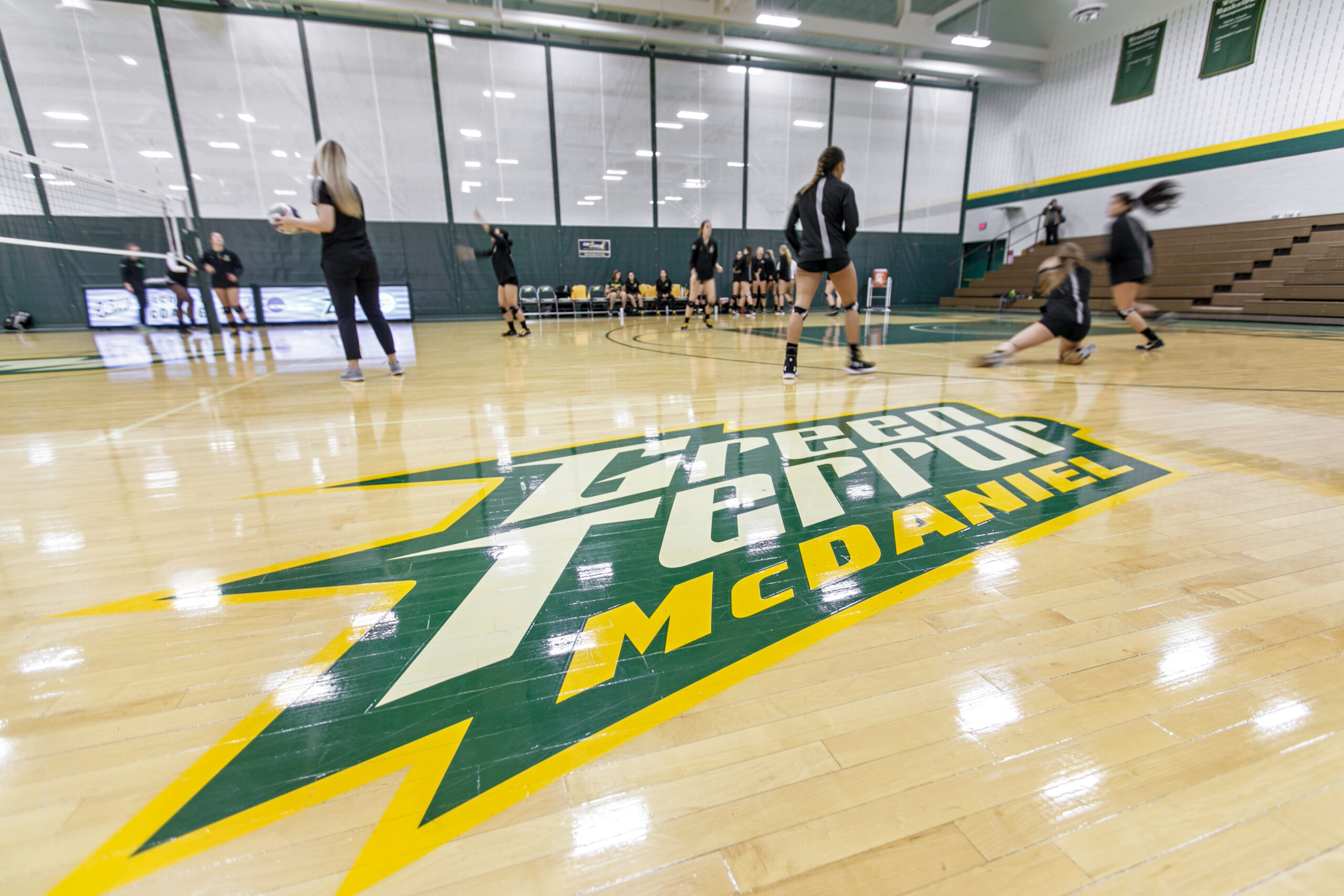 The Green Terror McDaniel logo on the floor of the basketball court.